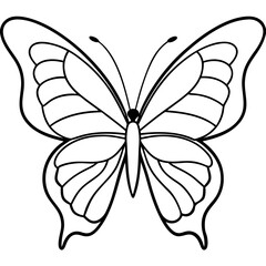 Elegant Butterfly Outline Vector 