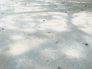Tree shadow on a concrete background.