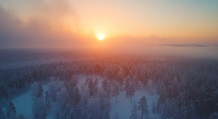Beautiful sunrise in winter forest