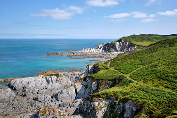 View from Morte Point across Rockham Bay on the path between Ilfracombe and Woolacombe, South West Coast Path