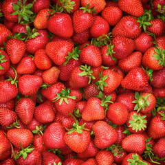 A pile of freshly harvested organic strawberries. Close up.