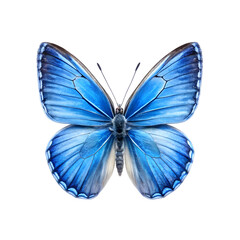 Obraz premium beautiful blue butterfly, isolated on a transparent background