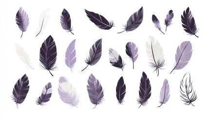 Various colored feathers against a white background