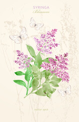 vintage card with watercolor Syringa blooming branches and butterflies. watercolour painting of bunch flowering woody plants lilac on grungy background