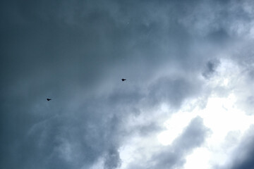 Two birds flying in the sky above a cloudy day