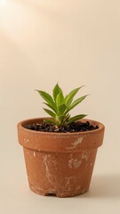 Obraz premium A stack of three powdered donuts filled with jam on a wooden board against a dark background