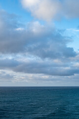 Obraz premium Overcast ocean horizon with flying seagull