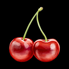 cherry illustration