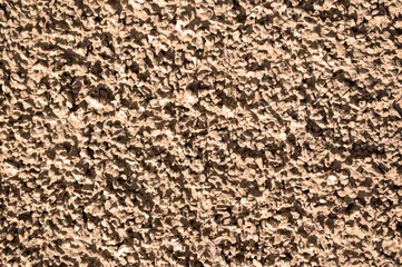 Textura o fondo rugoso