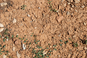 Fondo o textura de tierra seca con piedras en el campo. Recursos gráficos y elementos para webs.