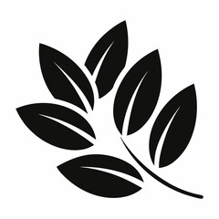 vector illustration of a leaf