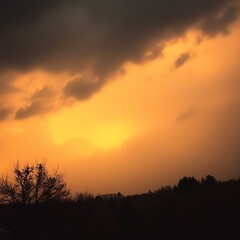 Obraz premium Dark clouds and orange sky at sunset over silhouetted trees