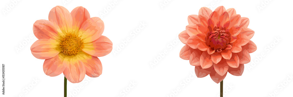 Poster colorful vector flat illustration of pink flowers showcasing unique petal structures and textures in