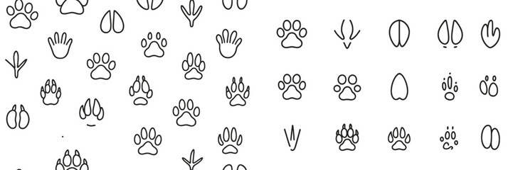 Obraz premium Collection of vector illustrations showcasing various animal paw prints and footprints in a flat design style for educational purposes