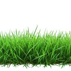 Fototapeta premium Vibrant Green Grass Meadow, A bright green grass meadow under a clear sky, showcasing the beauty of nature with its lush, healthy vegetation, isolated on transparent background