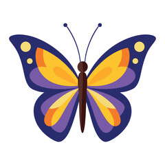 Beautiful yellow swallowtail butterfly vector illustration on white background