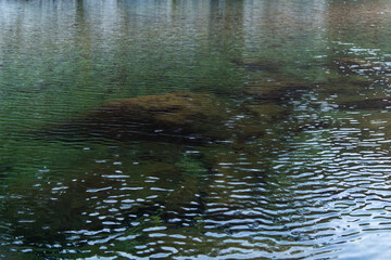 flowing stream and rock