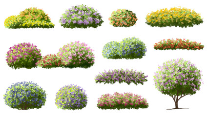  Vector watercolor blooming flower tree or forest side view isolated on white background for landscape and architecture drawing,elements for environment or and garden,green tree for garden section 