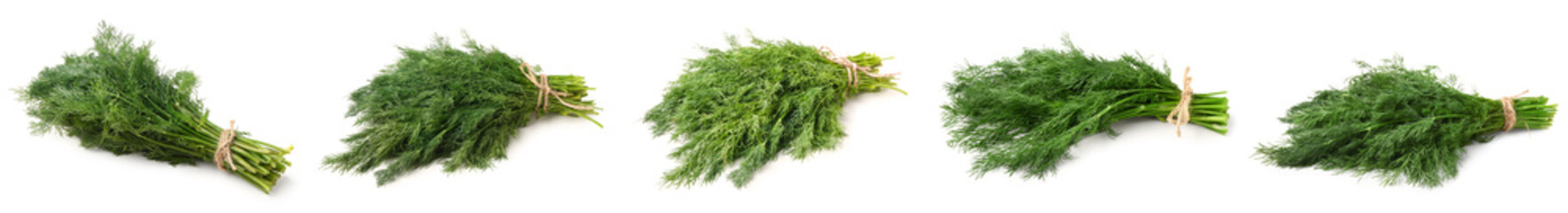 Set of fresh dill on white background