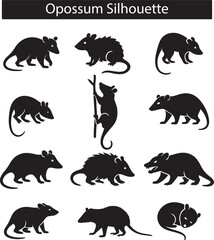 Opossum Illustration Set in Black and White