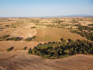 Expansive golden fields with patches of greenery under a clear blue sky in rural landscape during...