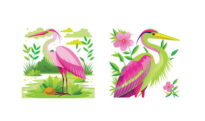 Photo of two vibrant pink and green herons, one amidst lush greenery near a pond, the other adorned with flowers, illustrated on white background