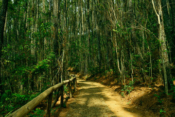 It may take up to 3 days for your approved content to be viewable elsewhere on the site.