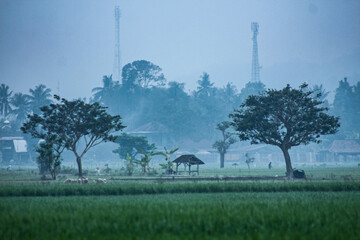 It may take up to 3 days for your approved content to be viewable elsewhere on the site.