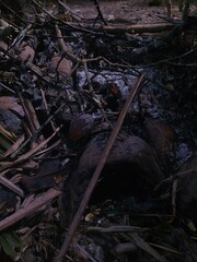 burning organic waste