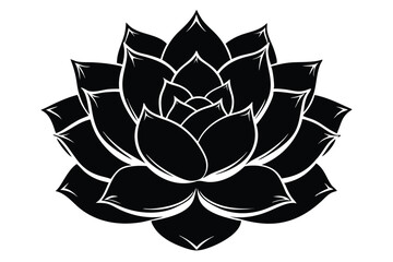 Black and White Succulent Flower Design, Elegant Floral Pattern, Detailed Plant Graphic