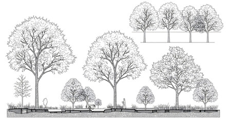 Minimal style cad tree line drawing, Side view, set of graphics trees elements outline symbol for architecture and landscape design drawing. Vector illustration in stroke fill in white