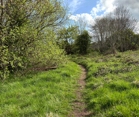 A narrow dirt path winds through a lush, green landscape, bordered by trees with budding leaves and some bare branches. Clouds dot the blue sky overhead close to, Thornton Road, Bradford, UK 