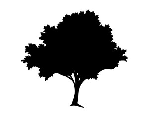 Fototapeta premium Tree Silhouette Vector Illustration - Minimalist Nature Symbol Isolated on White Background