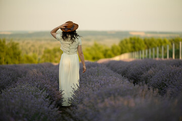A young brunette walks in wheat fields at sunset in summer. Growing organic wheat and barley.