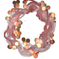 frame made of branvhes