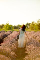 A young brunette walks in wheat fields at sunset in summer. Growing organic wheat and barley.