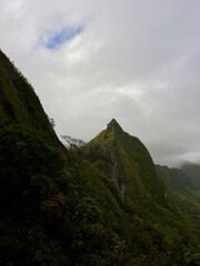 The beautiful lush, green natural scenery along a hike up Pali Puka mountain on the island of O'ahu, Hawai'i, United States of America.