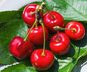 Red early cherries close-up. Vitamins and healthy nutrition