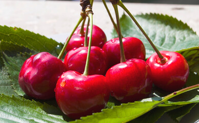 Red early cherries close-up. Vitamins and healthy nutrition