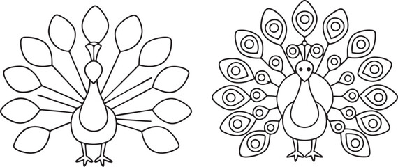 Fototapeta premium Peacock Vector with Fully Spread Feathers Editable Art for Indian Celebration and Cultural Design