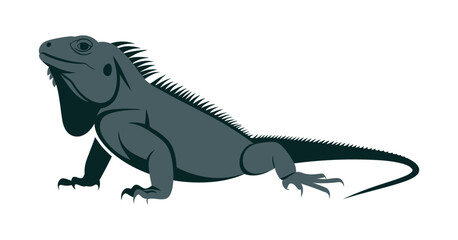 Stylized Vector Illustration of a Gray Iguana on a White Background Perfect for Graphic Design and Educational Purposes Digital Art