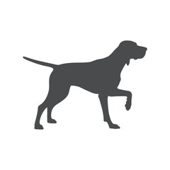 Elegant English Pointer Silhouette in Dark Gray on White Background Depicting a Noble Hunting Dog Breed