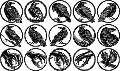 Fototapeta premium Collection of Vintage Black and White Ravens in Circular Frames, Mystical...
