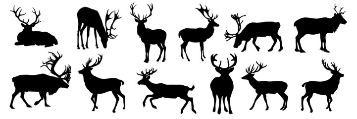 Vector collection of deer silhouettes. Ideal for nature themed designs, hunting graphics and wildlife illustrations
