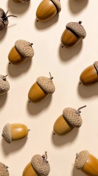 Close-up overhead view of several acorns arranged on a warm beige background creating a simple pattern for fall backgrounds.