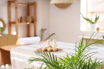Blurred view of light spa salon with massage table, shelf unit and plants