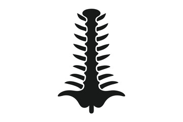 Silhouette Depiction of Vertebral Column Structure Illustrating Anatomy and Spinal Health Concepts