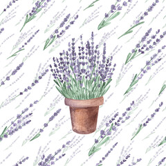 Pattern  provance purple lavender flowers.Floral spring summer botanical backdrop