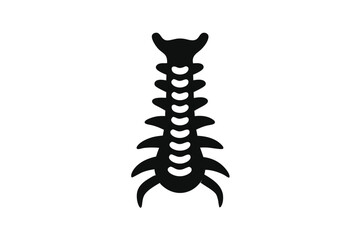 Isolated Spine Silhouette Detailed Vertebrae Column Graphic for Medical or Anatomical Illustrations