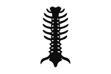 Black Silhouette Graphic of a Thoracic Spine with Ribs and Vertebrae Detail